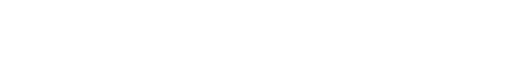 ERPure.AI