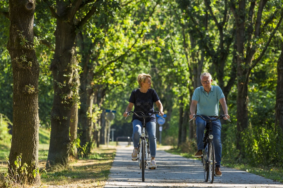 Cycling path through Almeerderhout forest